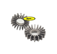 Set (2 pezzi) Stella madre con pinne grandi, sabbiata, /5 - R 100 R