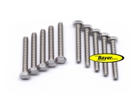 Hexagonal screw (set) M6x40,  stainless steel