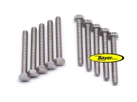 Hexagonal screw (set) M6x50,  stainless steel