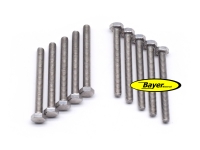 Hexagonal screw (set) M6x55,  stainless steel